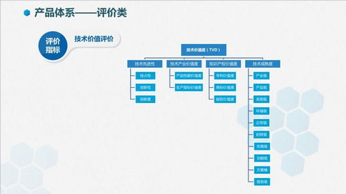 智信九鼎技術(shù)價(jià)值評(píng)價(jià) 軟件技術(shù)推廣服務(wù)的專(zhuān)業(yè)賦能