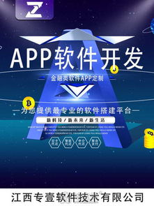 南昌軟件開(kāi)發(fā)公司 技術(shù)創(chuàng)新與推廣服務(wù)的雙輪驅(qū)動(dòng)